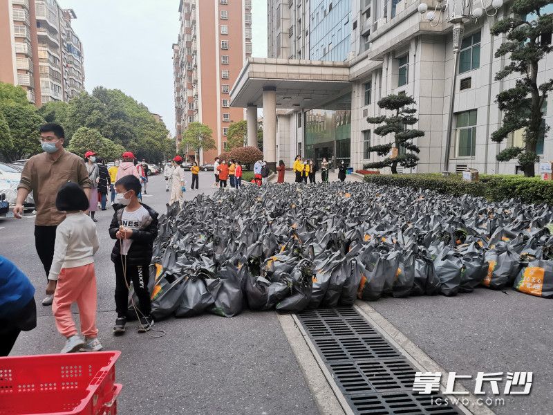 780份蔬菜包送到了湘林小區(qū)院內(nèi)。長(zhǎng)沙晚報(bào)實(shí)習(xí)生 羅楊 攝